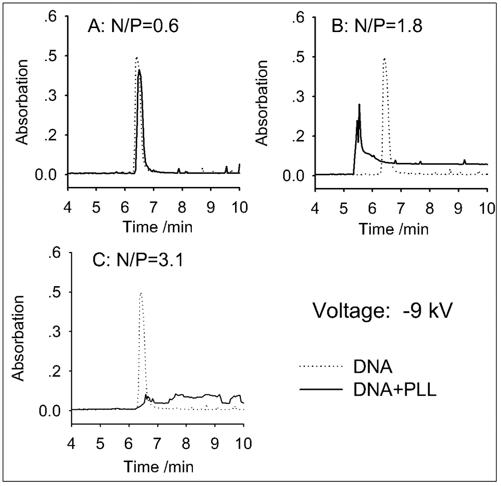 Method for preparing DNA (Deoxyribonucleic Acid) or RNA (Ribonucleic Acid) complex