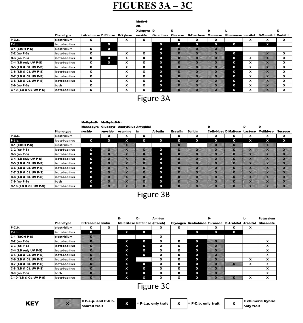 Method for Producing Chimeric Microbial Hybrids