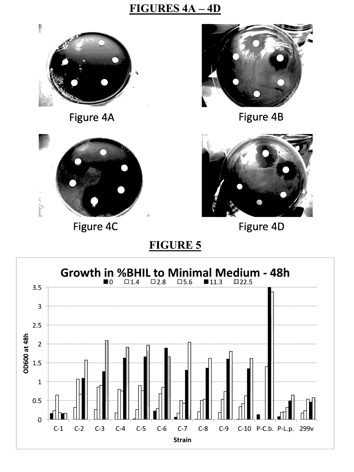 Method for Producing Chimeric Microbial Hybrids