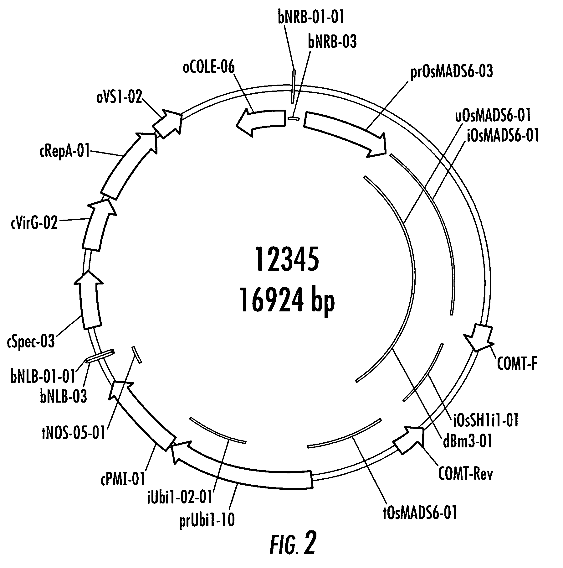 Methods and genetic constructs for modification of lignin composition of corn cobs