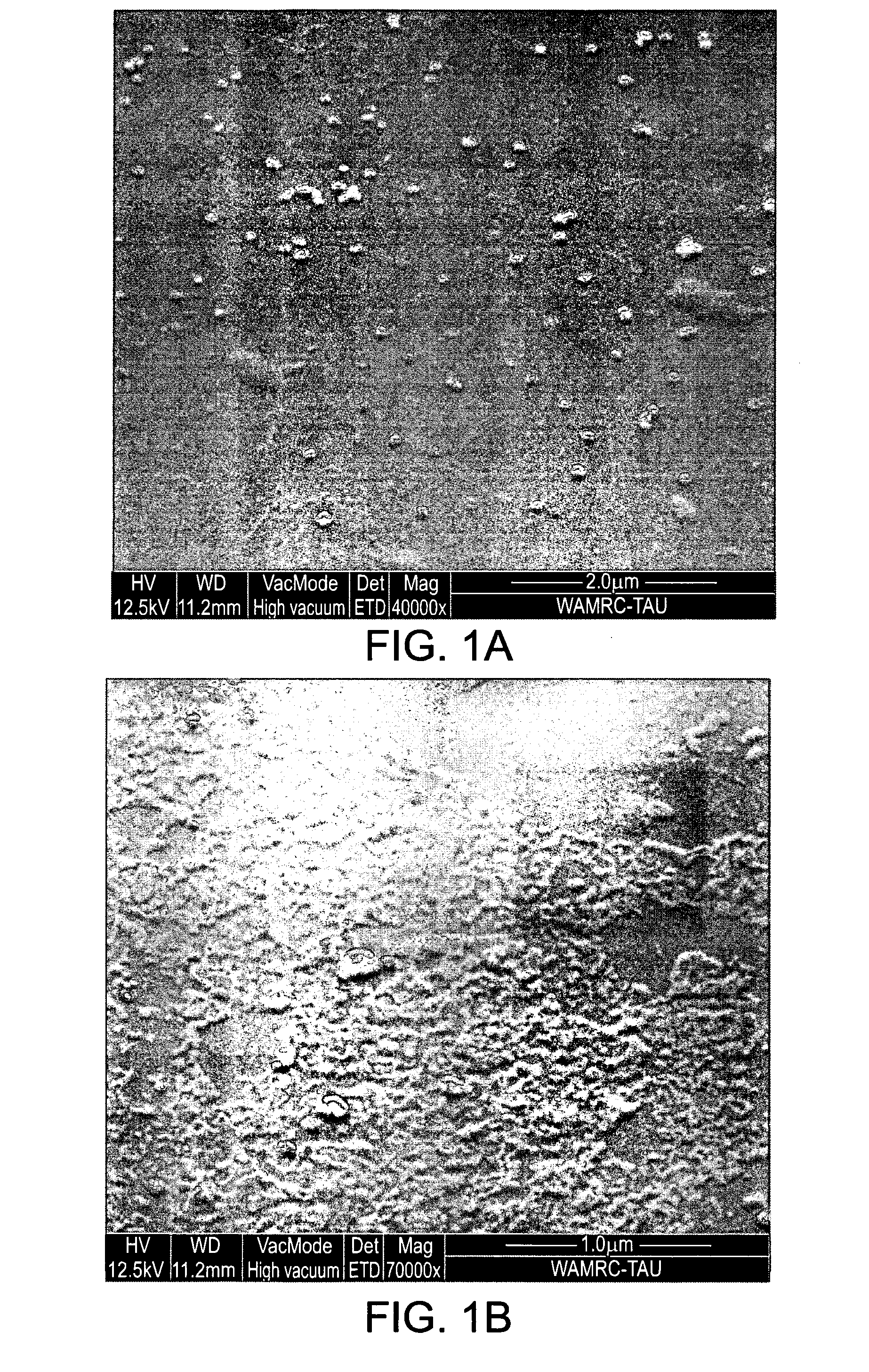 Cell-targeting nanoparticles comprising polynucleotide agents and uses thereof