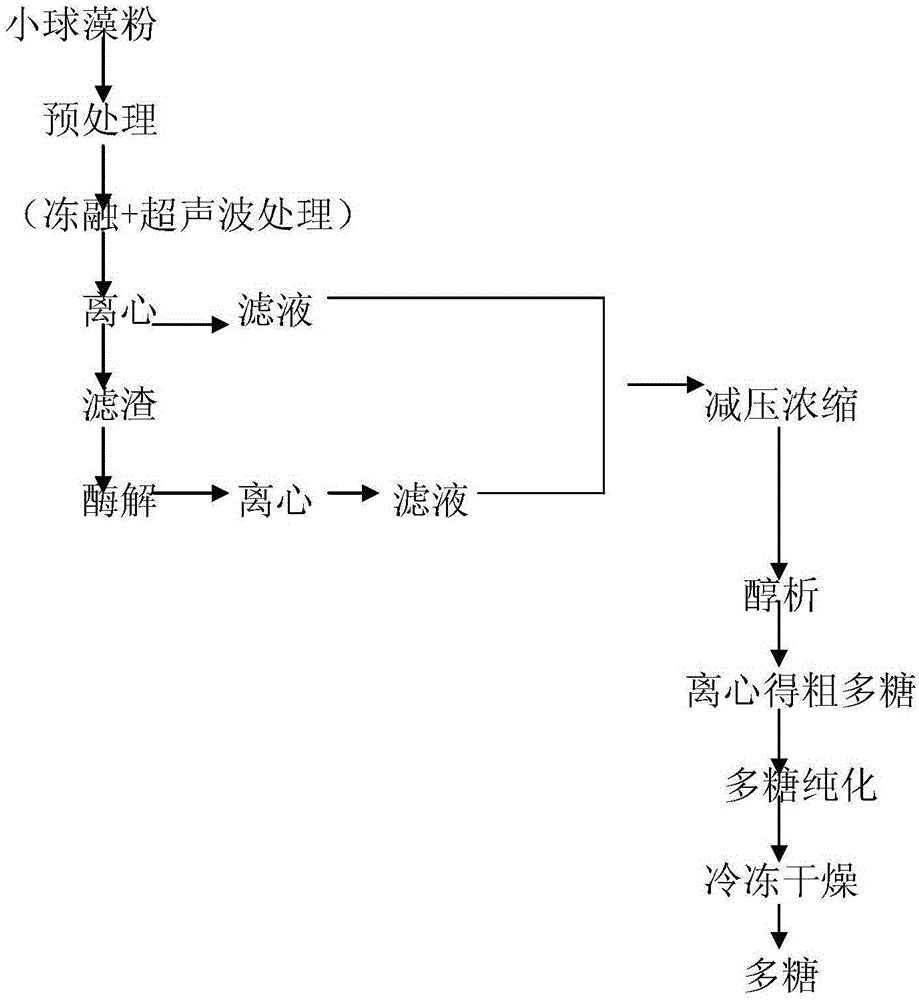Chlorella polysaccharide extraction method