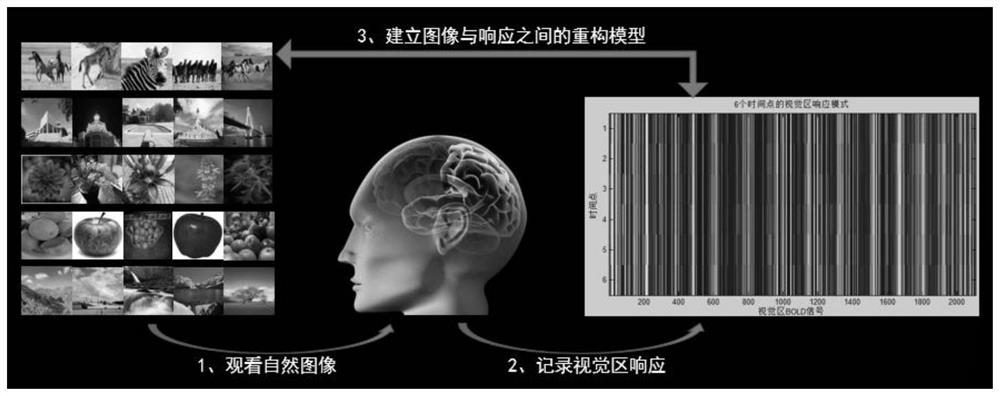 A complex visual image reconstruction method based on the dual model of deep codec