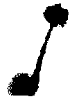 Phosphate solubilizing bacterium, as well as preparation method and application thereof