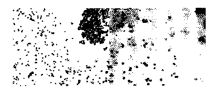 Phosphate solubilizing bacterium, as well as preparation method and application thereof