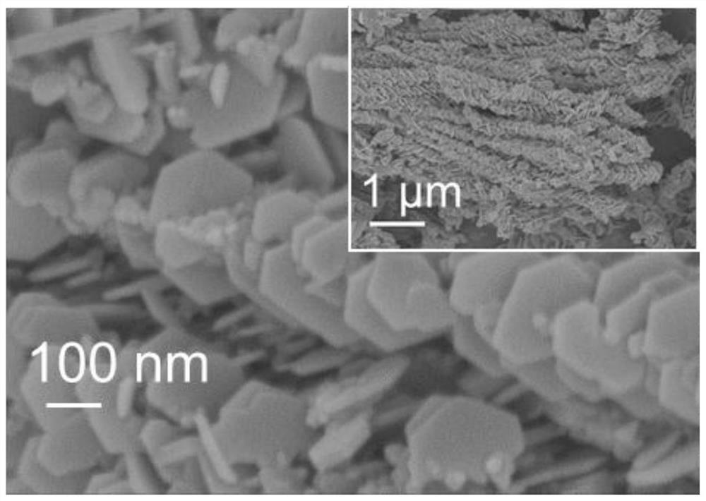 Multi-dimensional micro-nano non-noble metal composite catalyst as well as preparation and application thereof