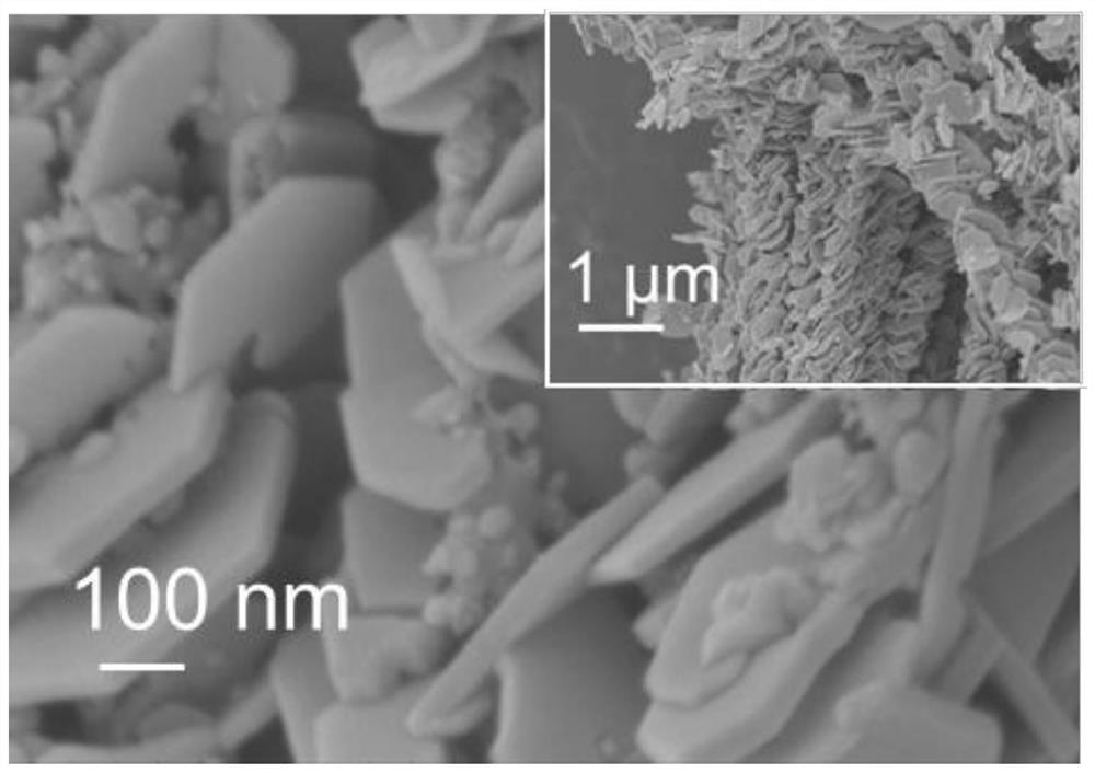 Multi-dimensional micro-nano non-noble metal composite catalyst as well as preparation and application thereof