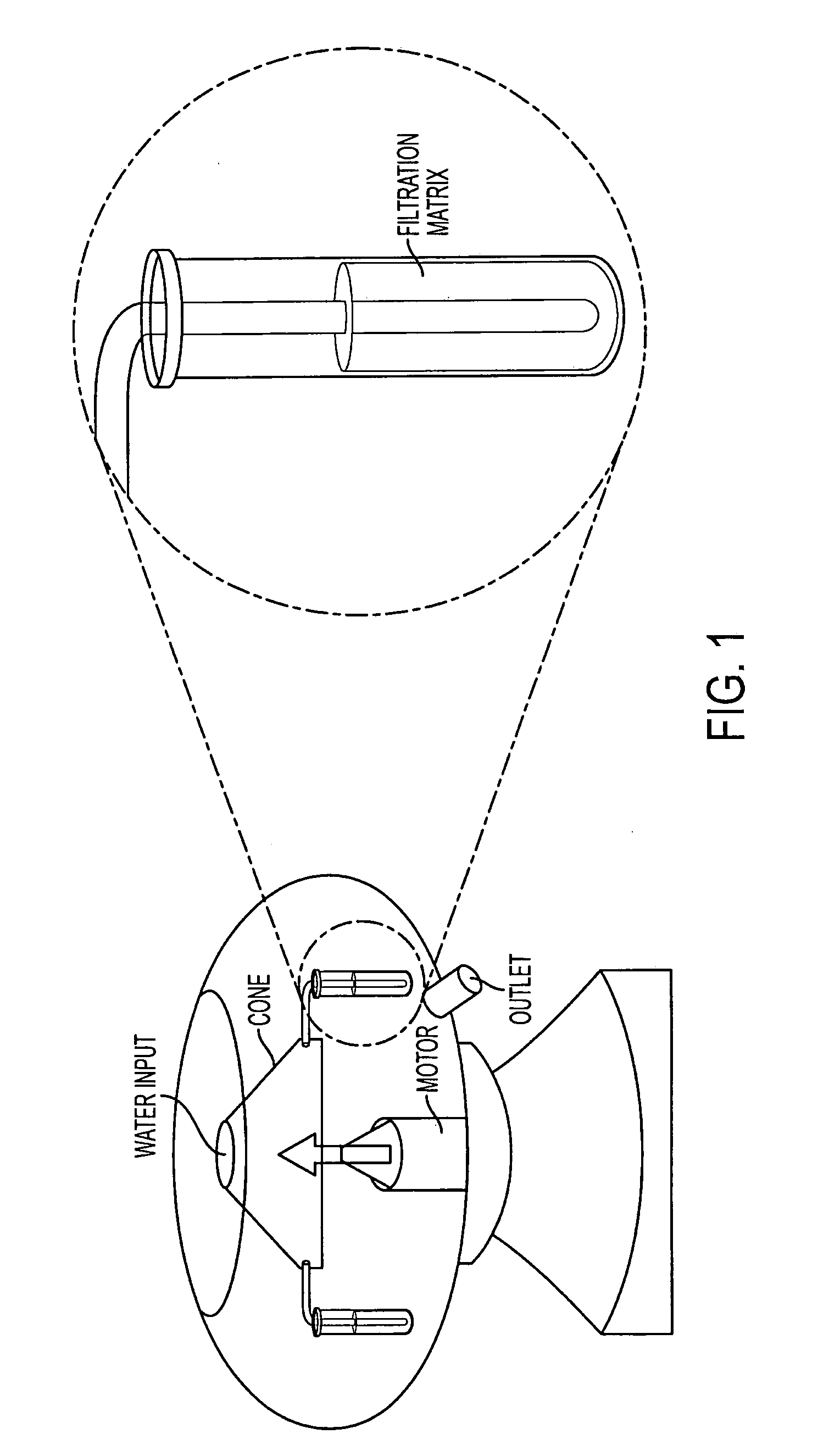 Apparatus for the separation of cystic parasite forms from water