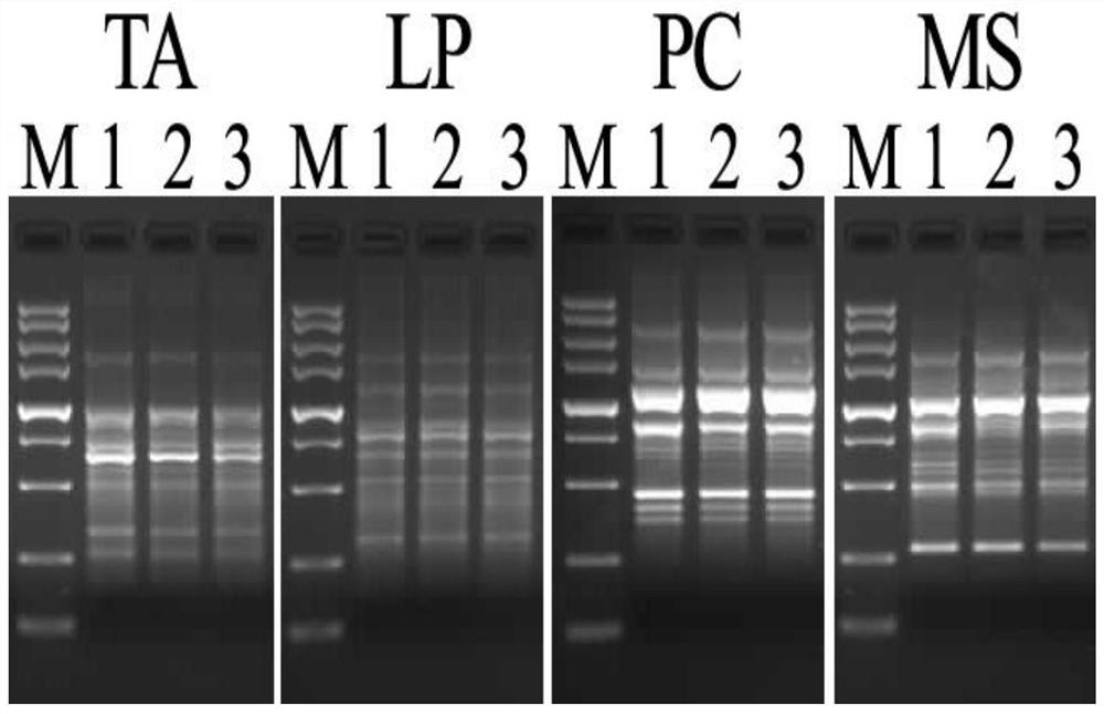 Non-toxic extract solution combination gpr.1 for efficient extraction of plant genome dna and its extraction method