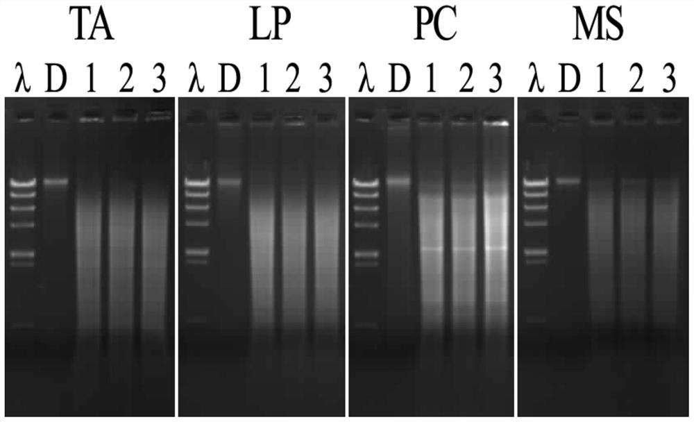 Non-toxic extract solution combination gpr.1 for efficient extraction of plant genome dna and its extraction method