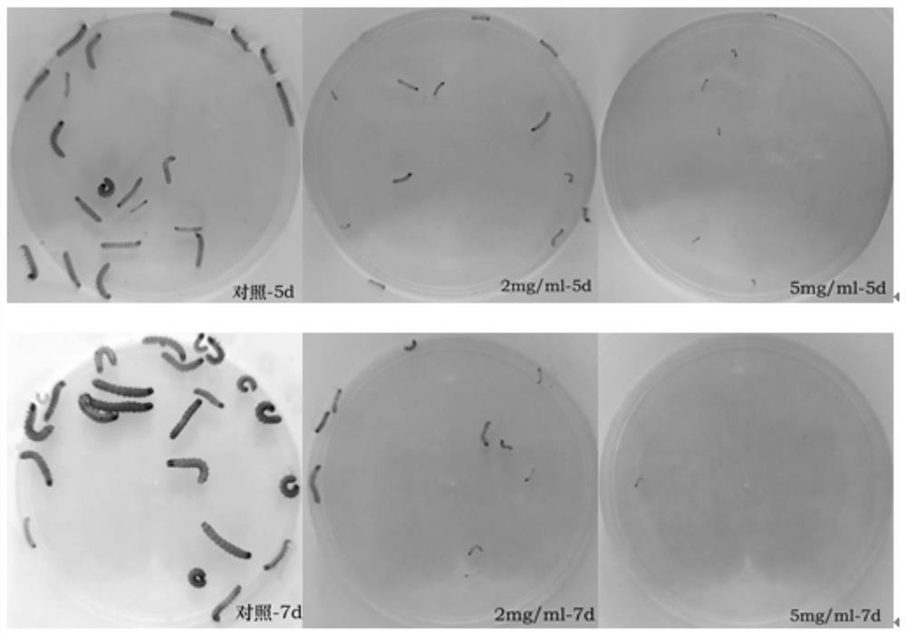 Bioactivity of dehydrocostus lactone on spodoptera frugiperda and application of dehydrocostus lactone in agricultural control