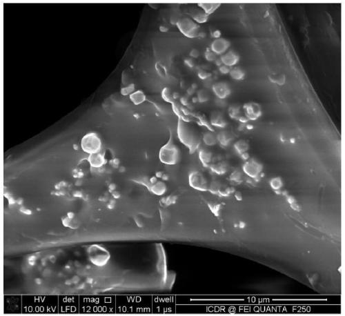 A kind of preparation method of cuprous oxide/melamine sponge used for oil spill recovery