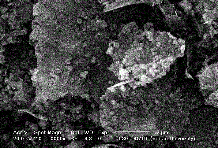 Synthetic method of magnetic graphene mesoporous material used for separation and enrichment in peptideomics