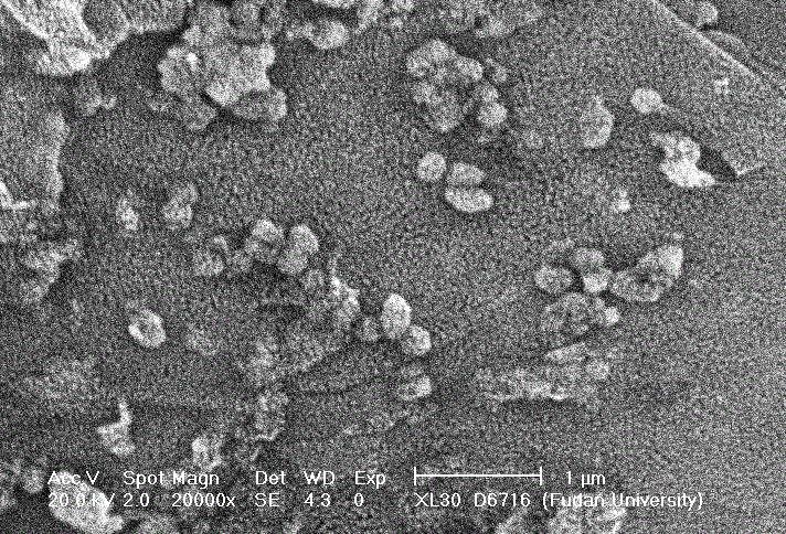 Synthetic method of magnetic graphene mesoporous material used for separation and enrichment in peptideomics