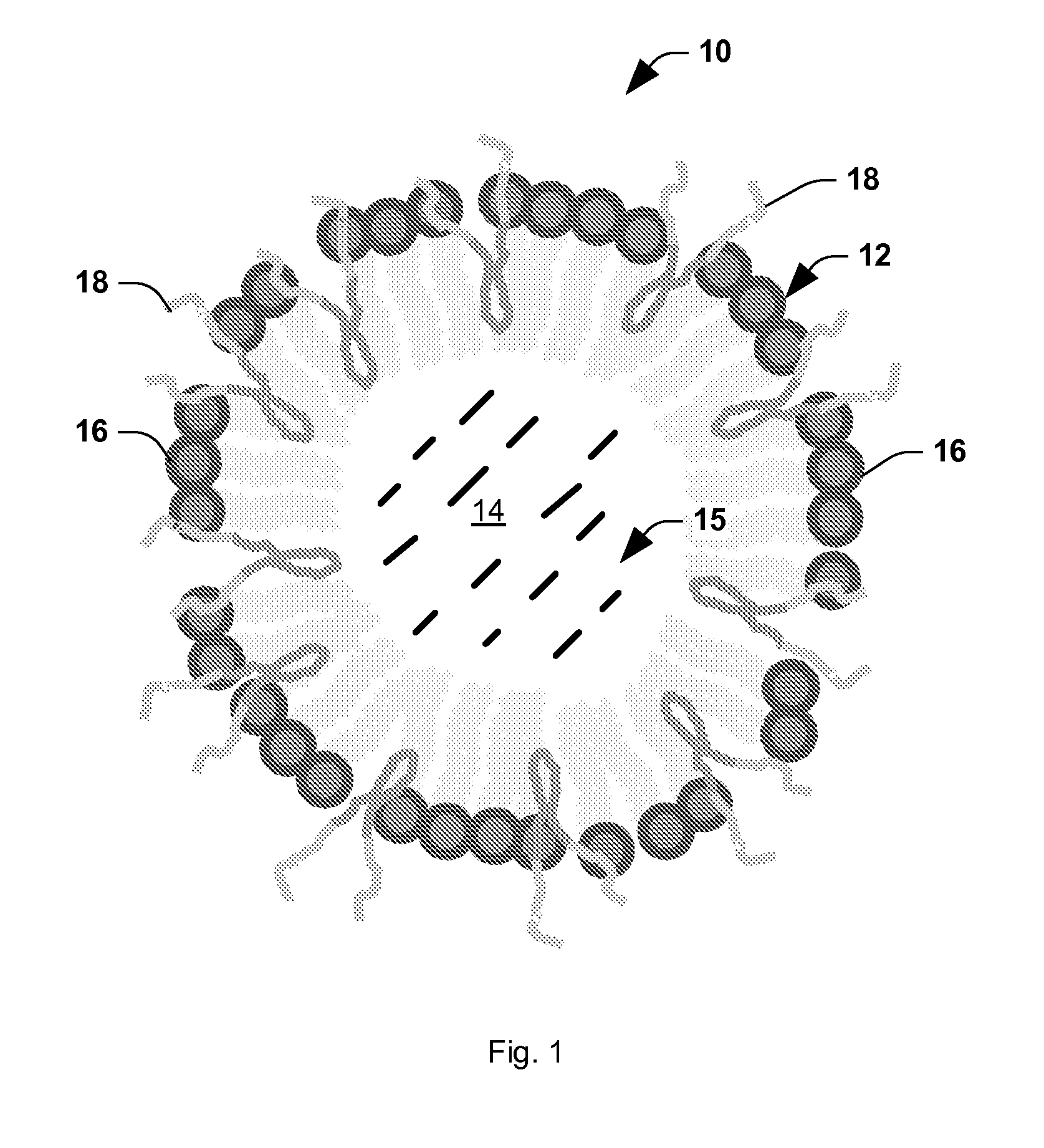 Stabilized nanobubbles for diagnostic and therapeutic applications