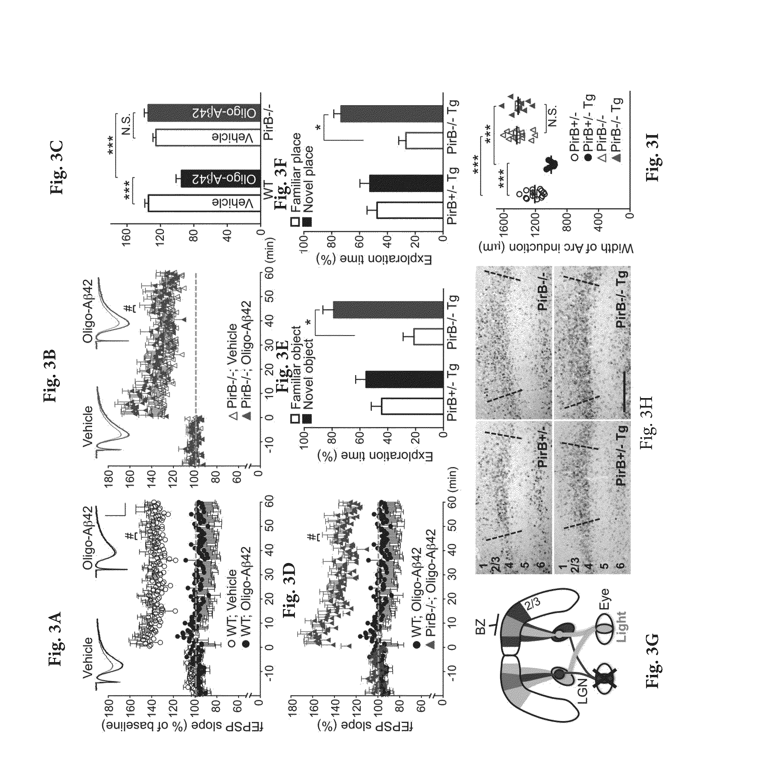 Methods and Compositions for Inhibiting the Effects of Amyloid Beta Oligomers