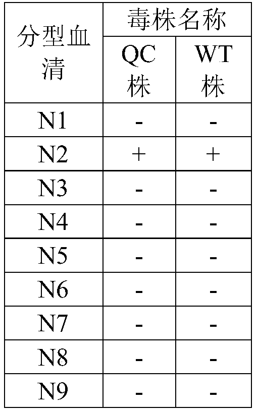 Avian influenza virus H9 subtype divalent inactivated vaccine and preparation method thereof