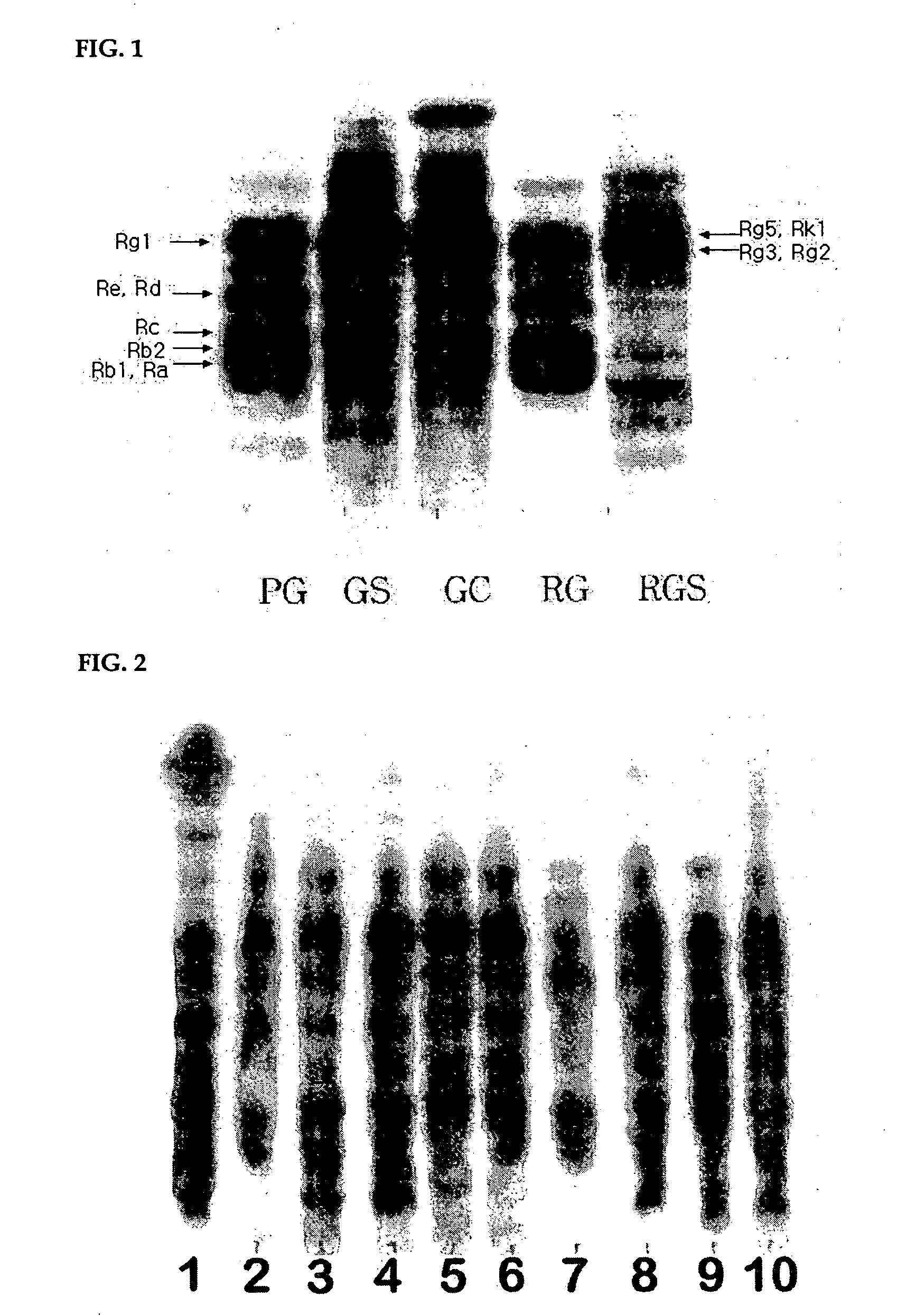 Method for processing ginseng and the uses of extract of processed ginseng