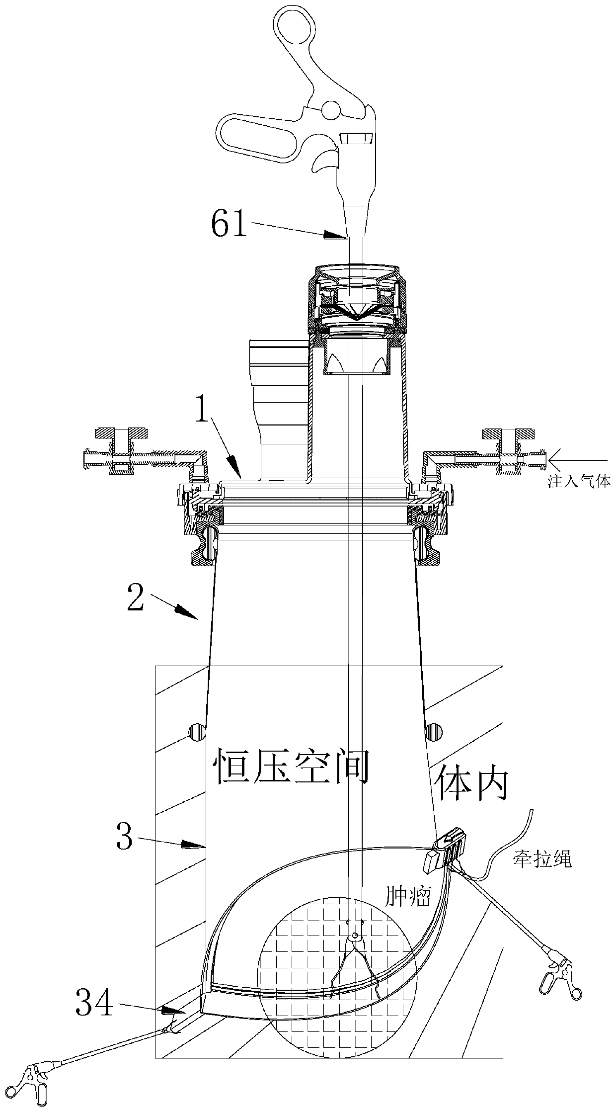 Protector provided with specimen extractor