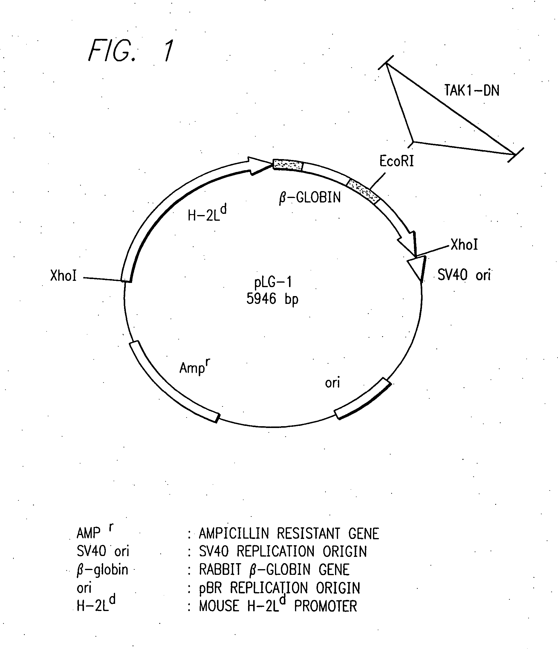 Method for screening compounds inhibiting signal transduction through inflammatory cytokines