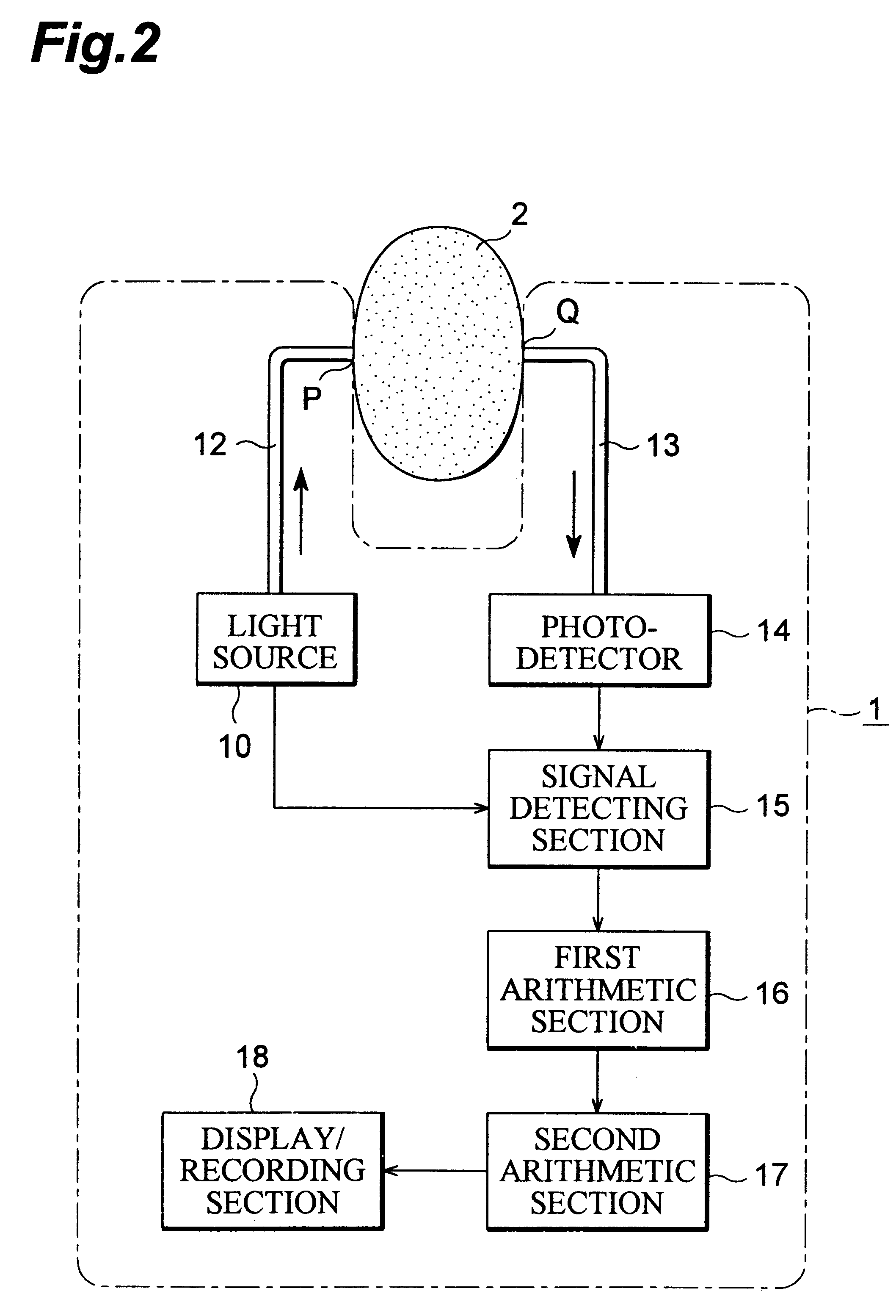 Absorption information measuring method and apparatus of scattering medium