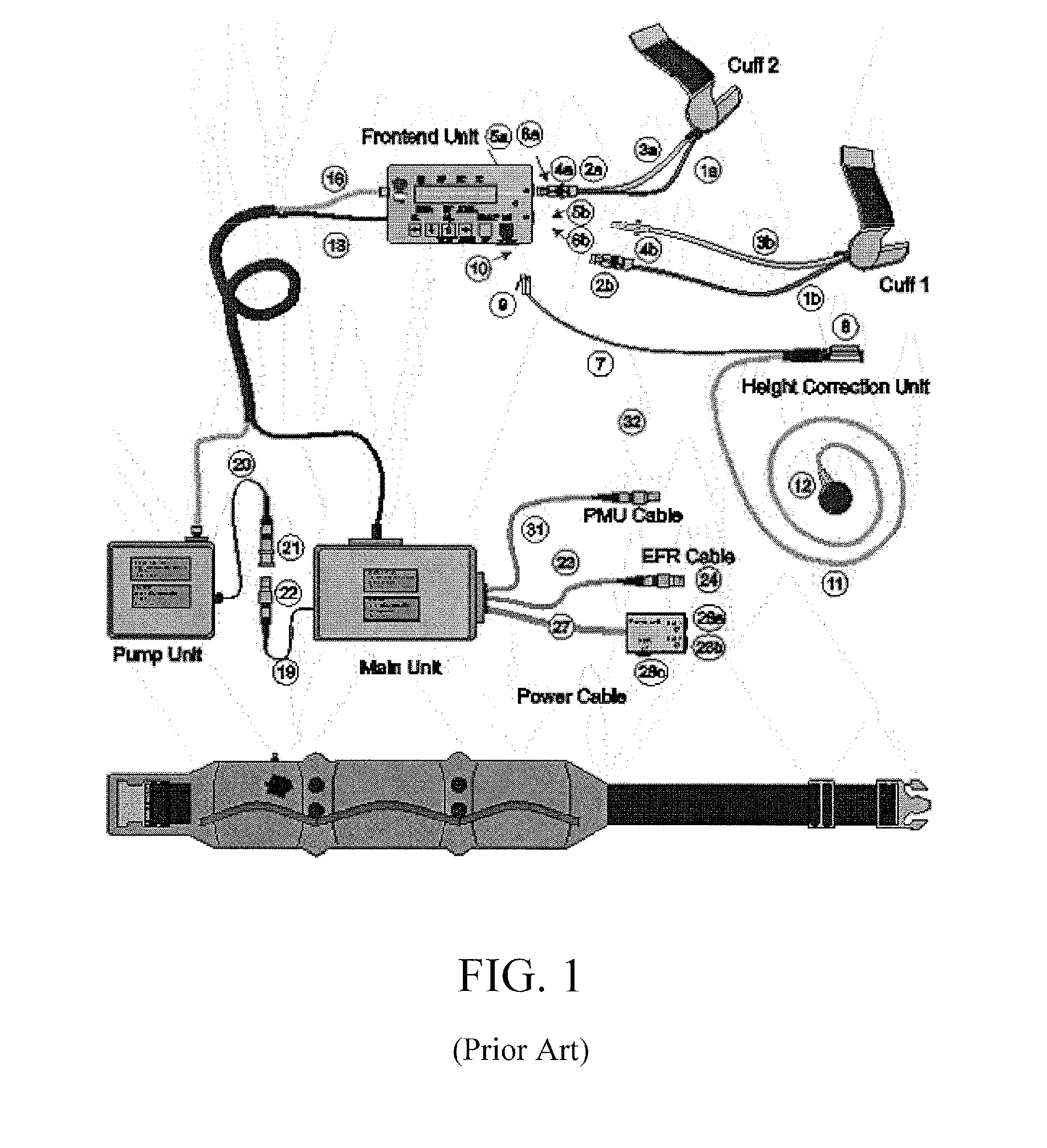System and method for detecting preeclampsia