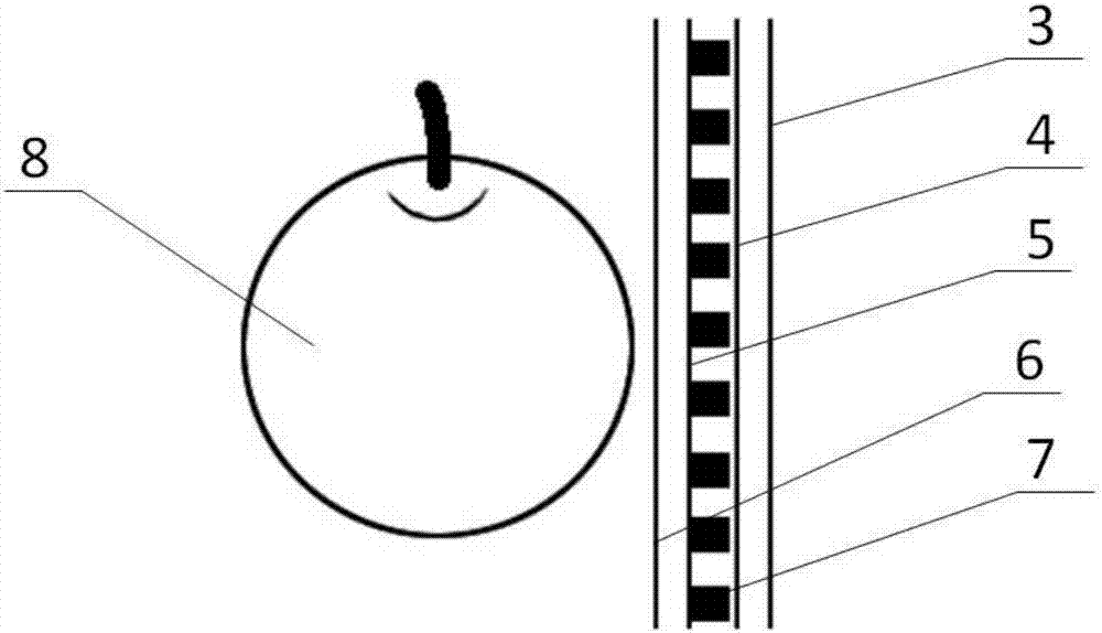 A special fruit bag for winter peach and its application in the cultivation, storage and transportation of winter peach