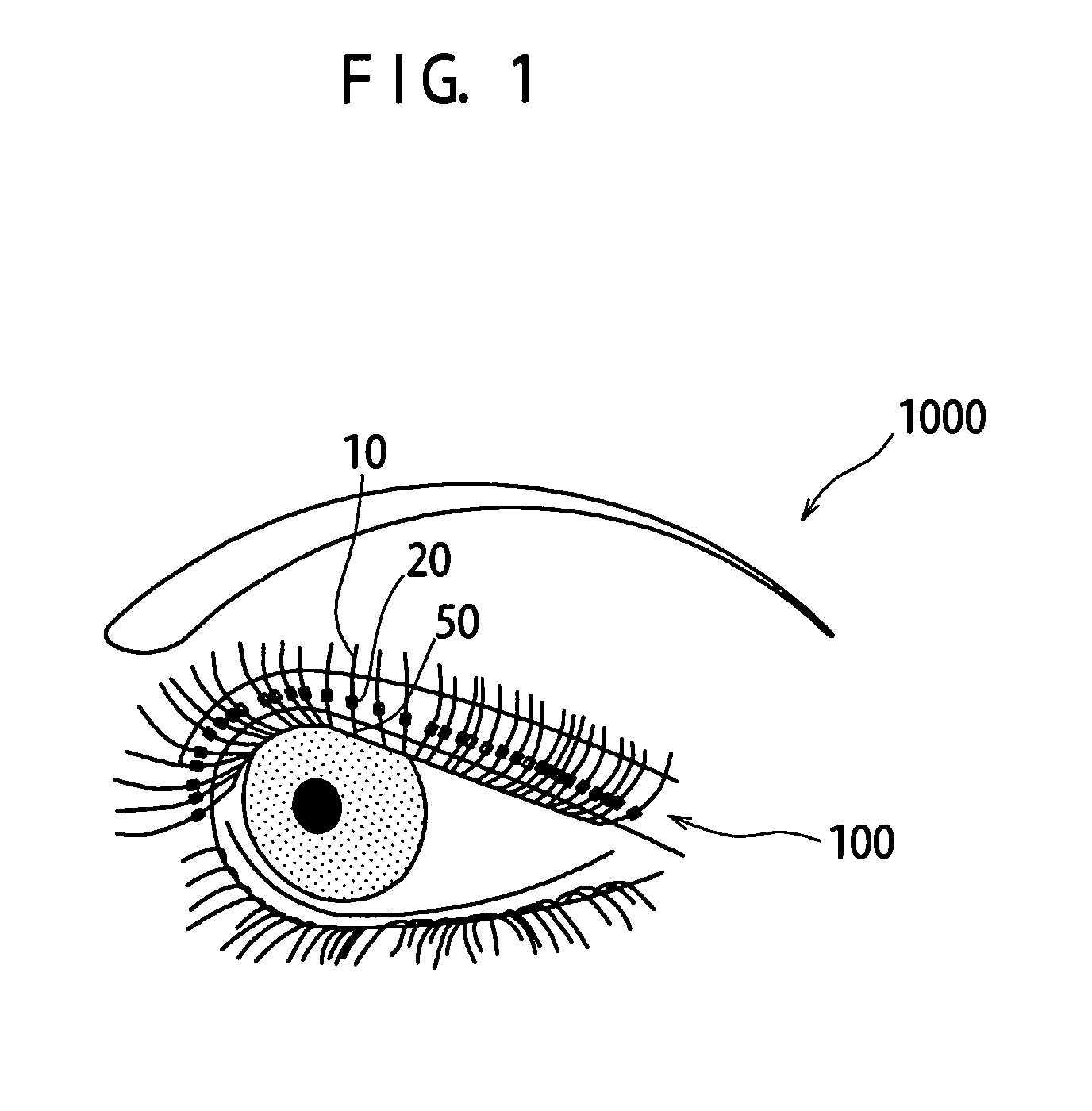 Artificial eyelash and method for attaching the same