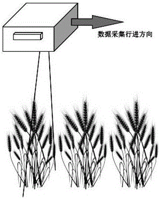 Plant phenotype multi-source data acquisition system