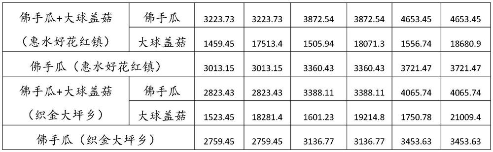 Method for planting stropharia rugoso-annulata under chayote frame in summer in Guizhou high-altitude area for fruiting