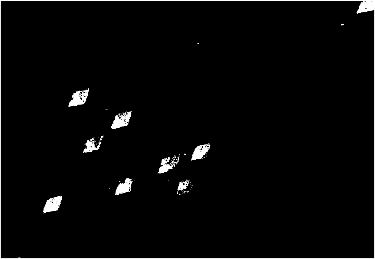 Wet etching technology for aluminum nitride crystals