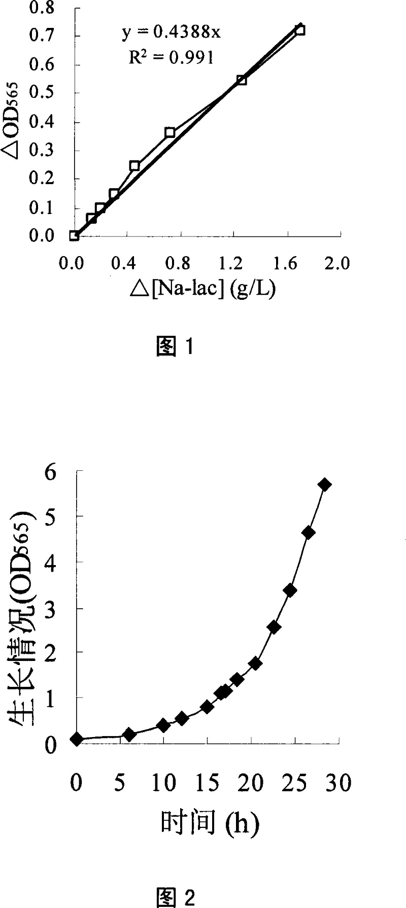 Method for producing magnetosome by cultivating magnetotactic bacteria