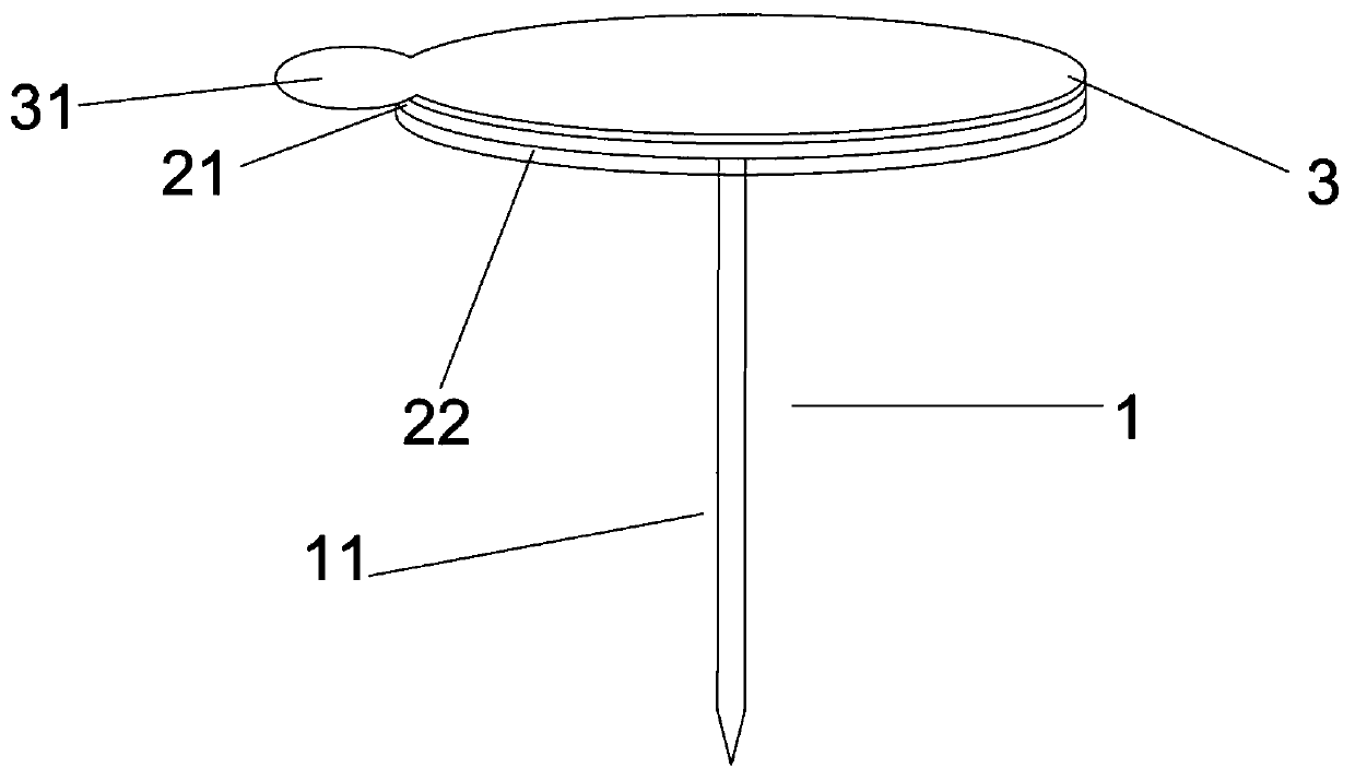 Painless microneedle and preparation method thereof