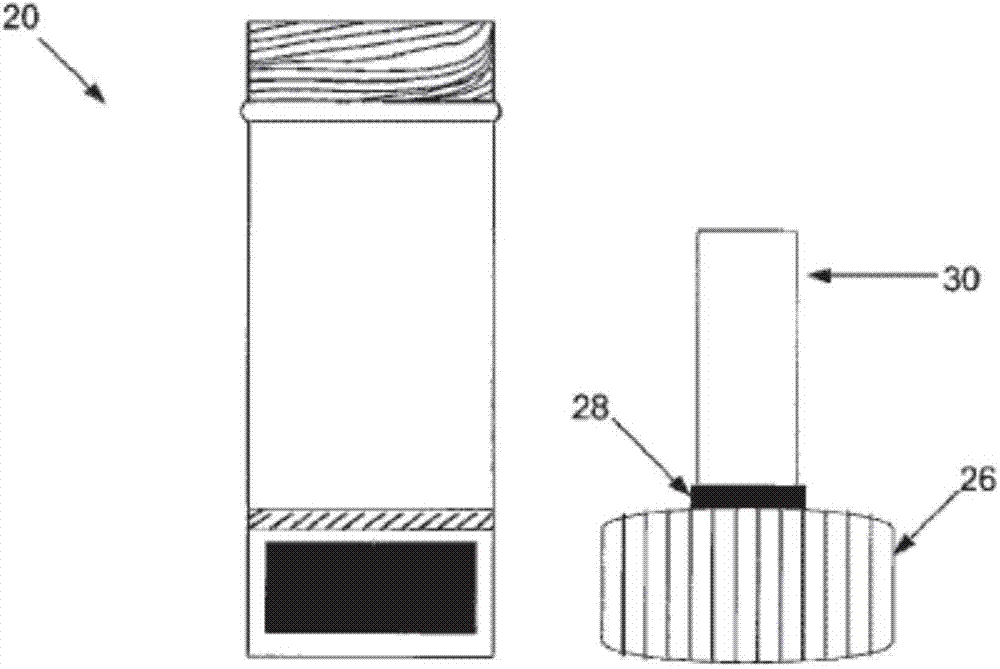 Matrix and system for preserving biological specimens for qualitative and quantitative analysis