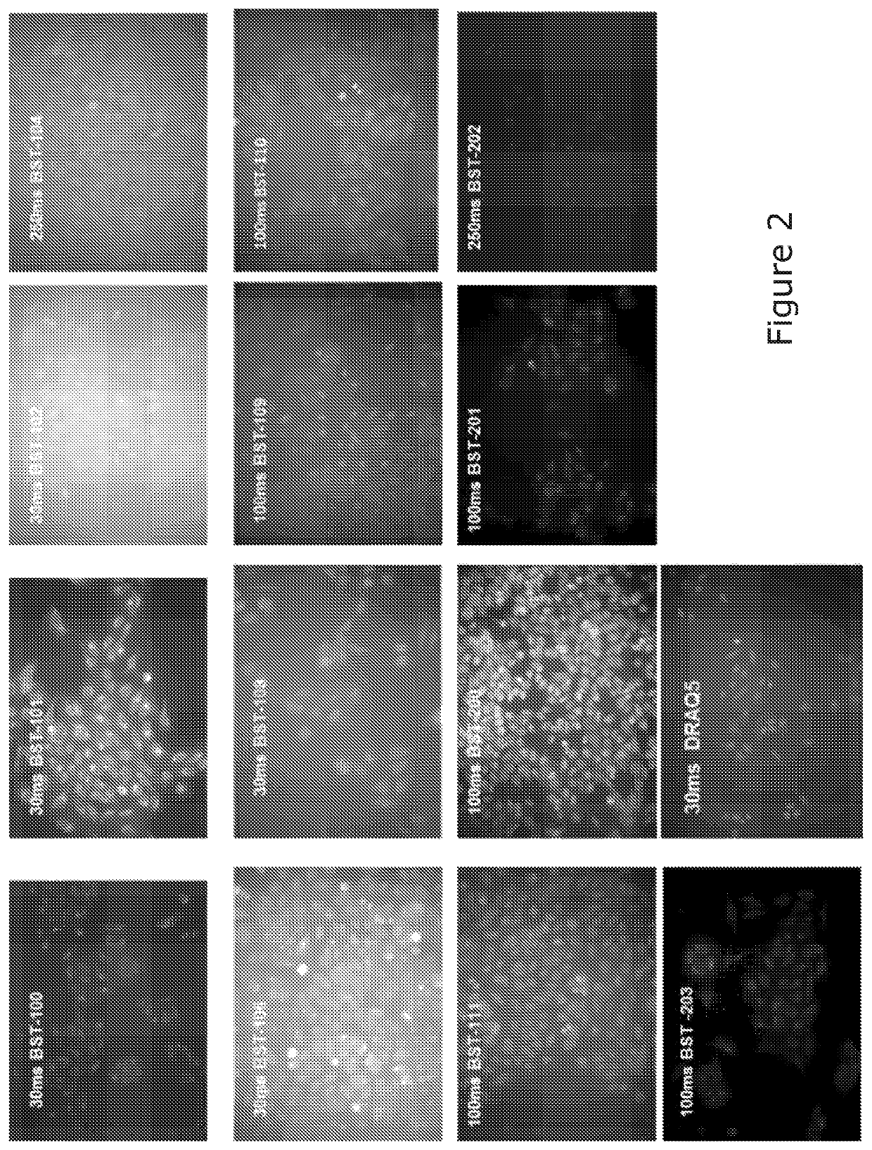 Acetalanthraquinone derivatives useful for cellular staining