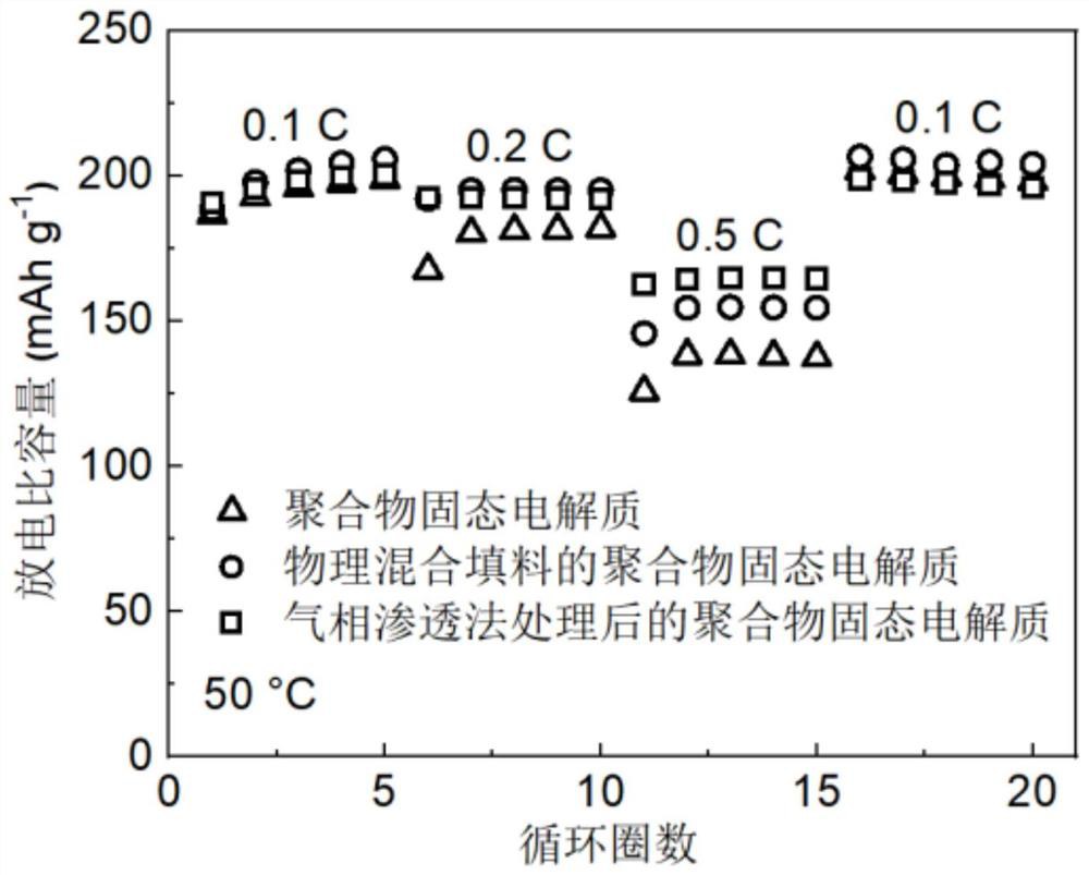 Preparation method and application of solid electrolyte polymer modified by gas phase permeation method