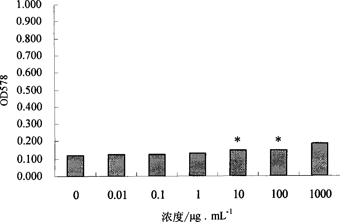 Hyriopsis cumingii enzymolysis polypeptide, as well as preparation and application thereof