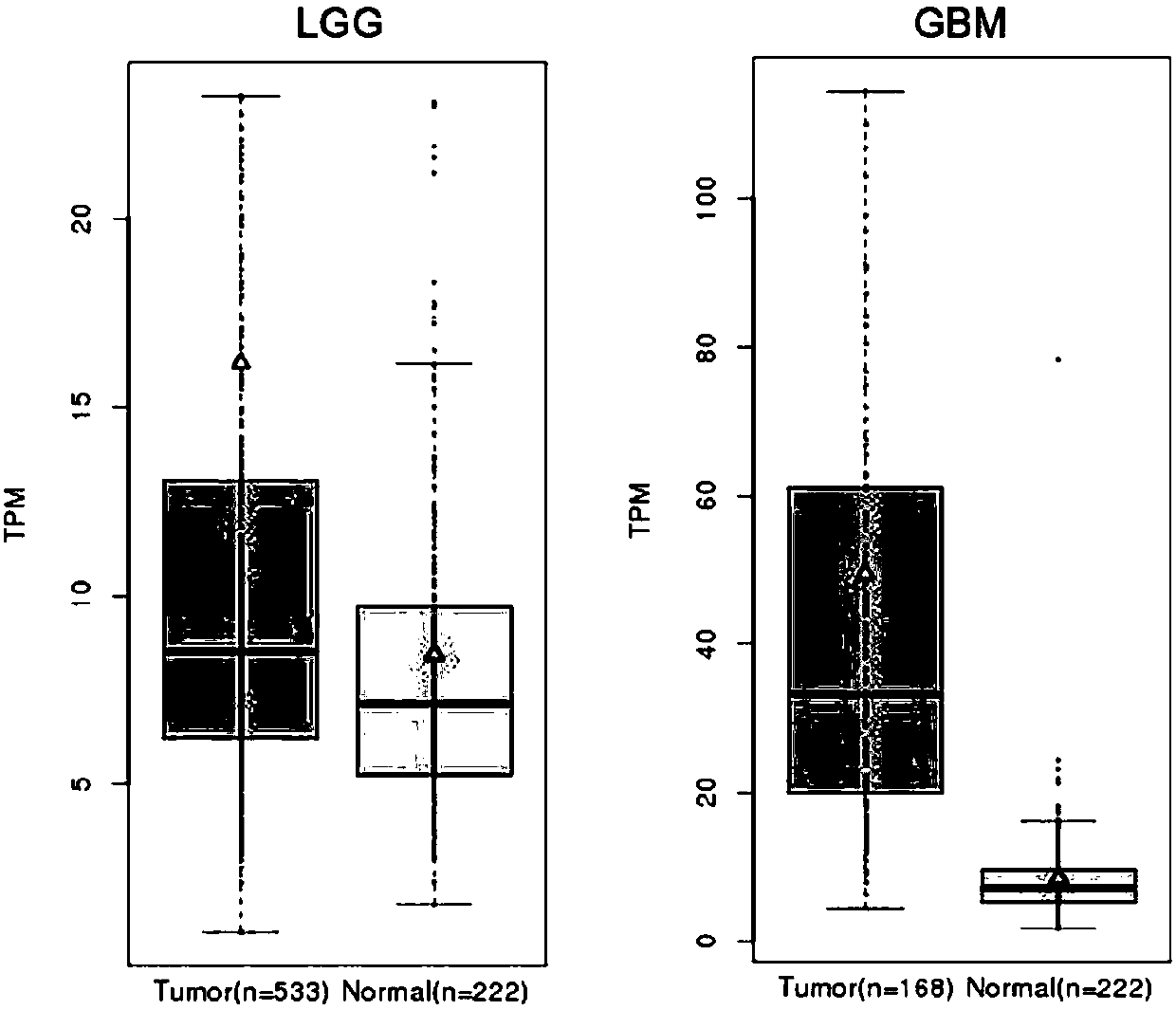 Application of RDH10 (retinol dehydrogenase 10) gene to preparation of TWEAK-NF-kappaB signal pathway blocking agent