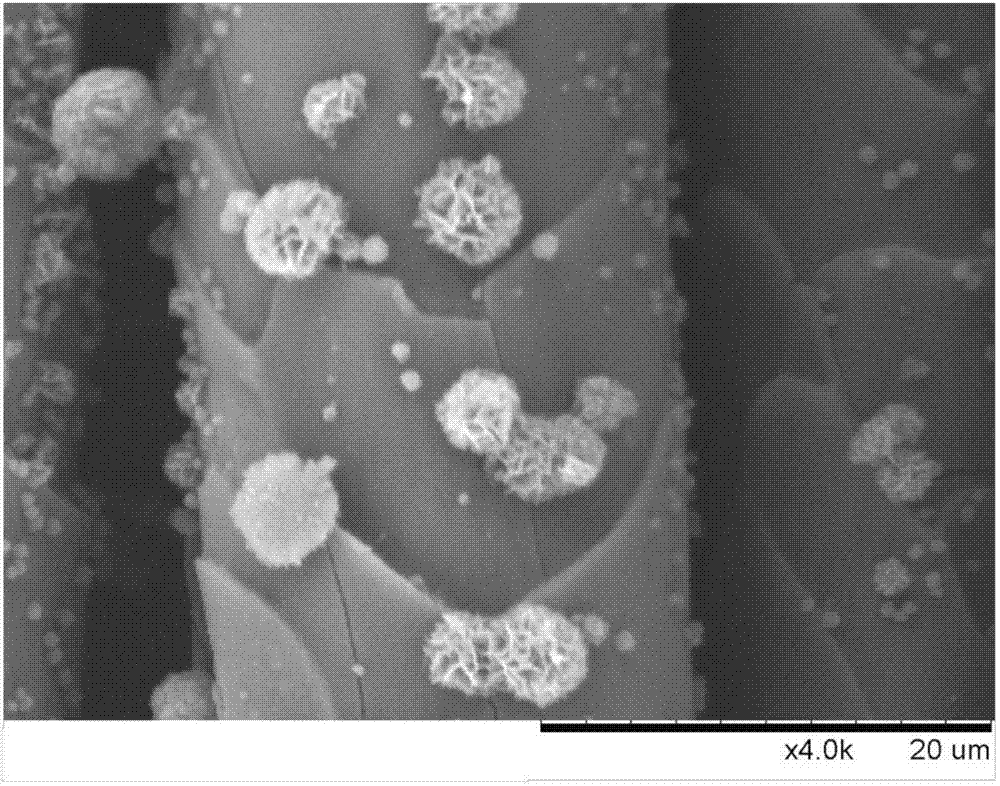 Method for preparing fullerene flower balls on surface of soft matrix