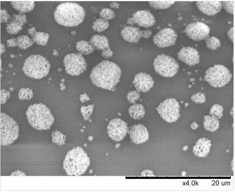 Method for preparing fullerene flower balls on surface of soft matrix