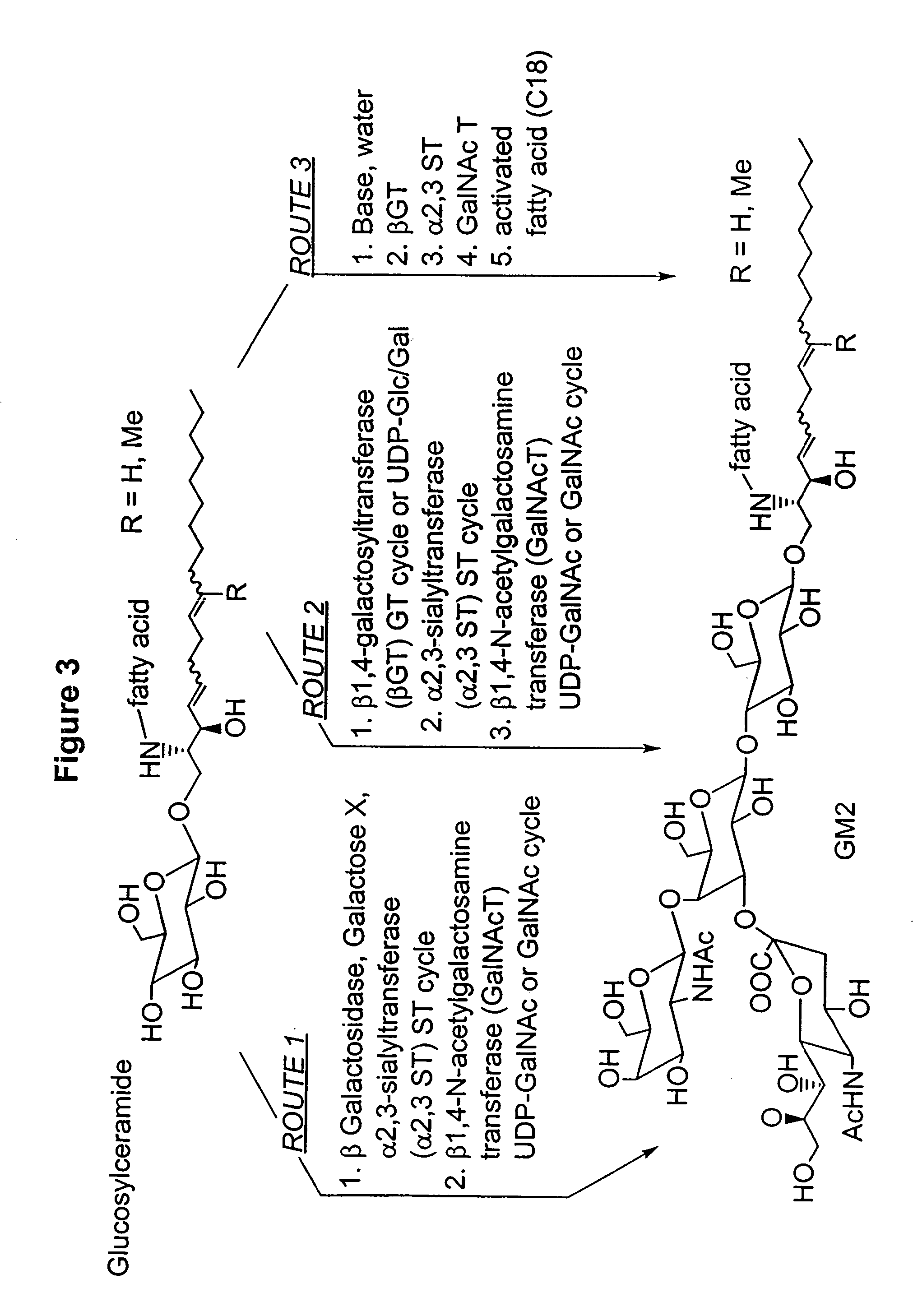 Ganglioside compositions and methods of use