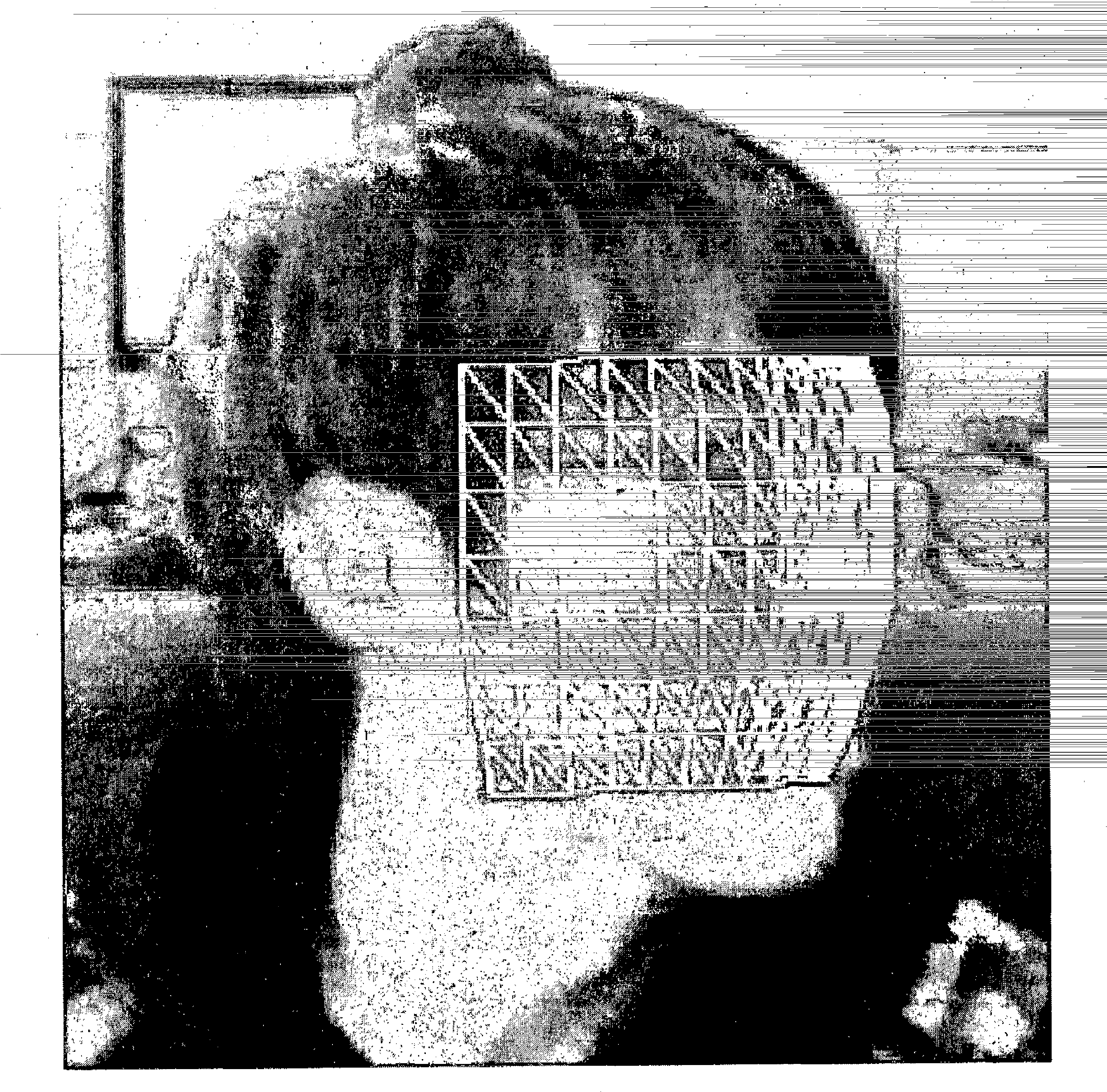 Method and Device for Head Tracking and Computer-Readable Recording Medium