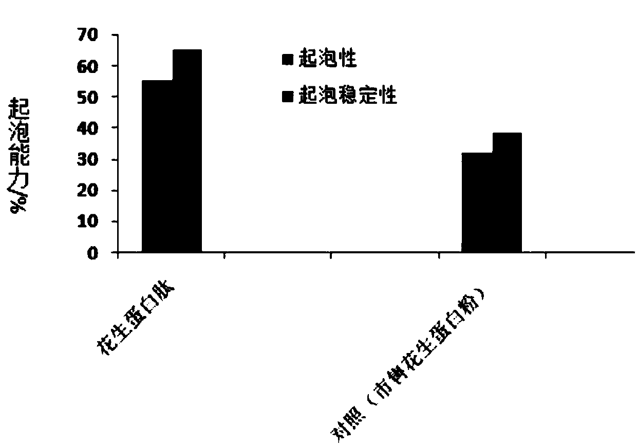 Method of degrading aflatoxin in peanut meal and synchronously preparing peanut protein peptide