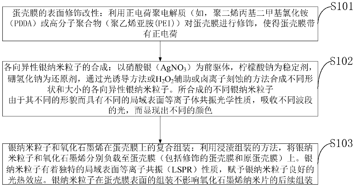 Eggshell membrane/silver nanoparticle/graphene oxide composite biological membrane and preparation method