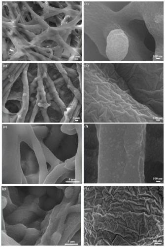 Eggshell membrane/silver nanoparticle/graphene oxide composite biological membrane and preparation method
