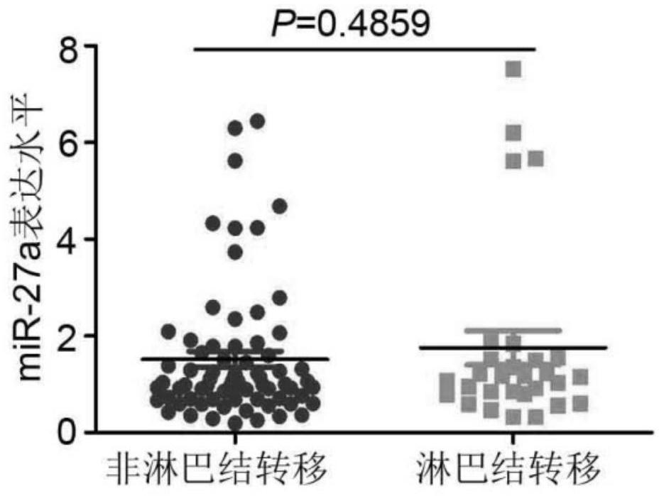 Application of microRNA molecule in diagnosis and treatment of lymph node metastasis of T1-stage esophageal squamous cell carcinoma