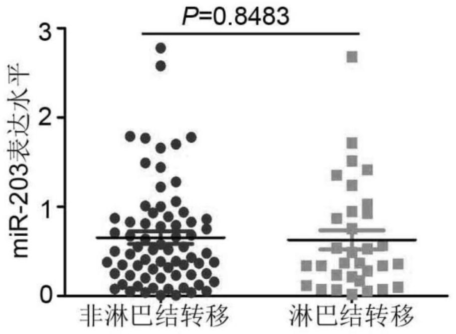 Application of microRNA molecule in diagnosis and treatment of lymph node metastasis of T1-stage esophageal squamous cell carcinoma