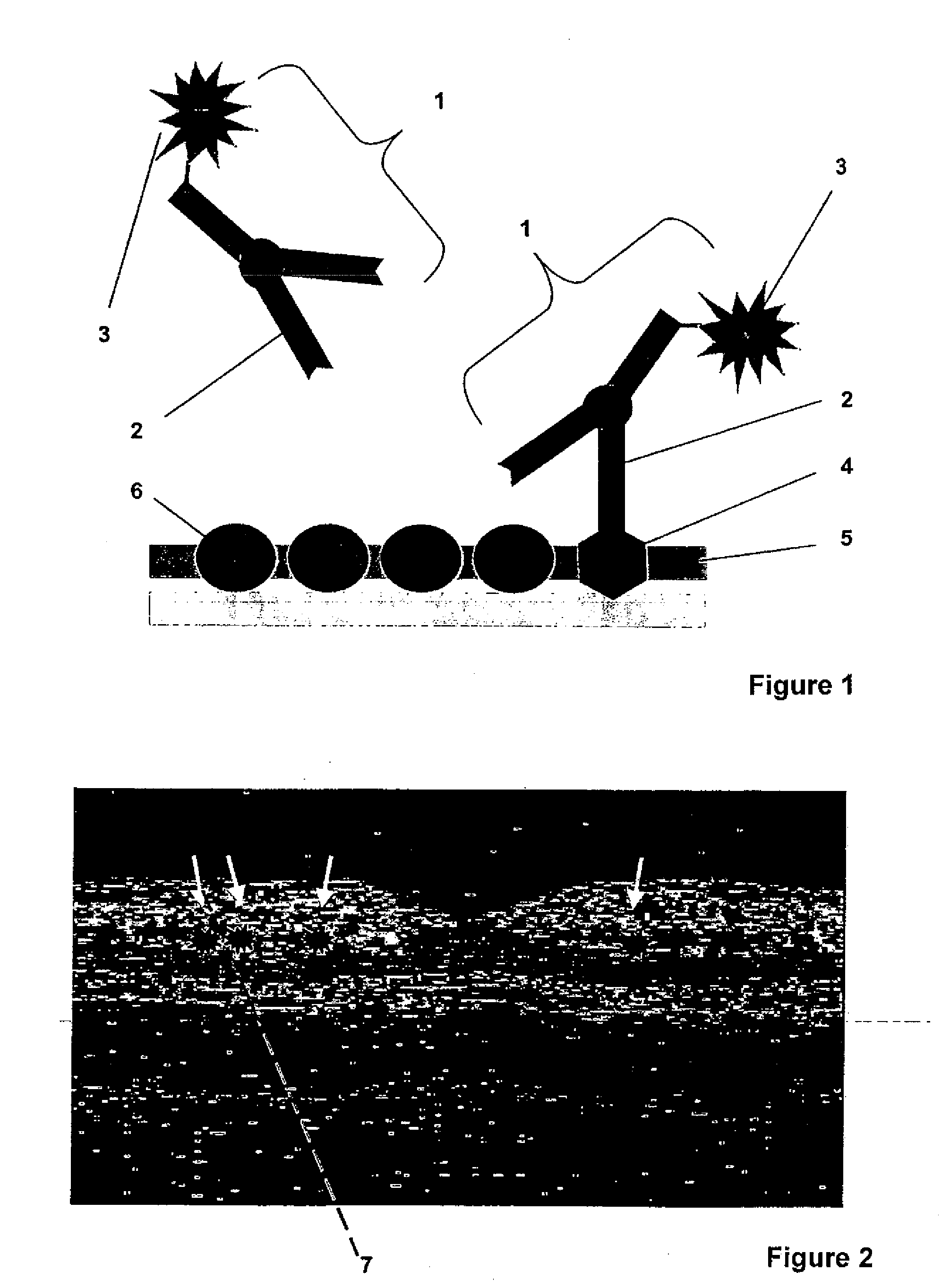 Method and device for optical detection of the eye