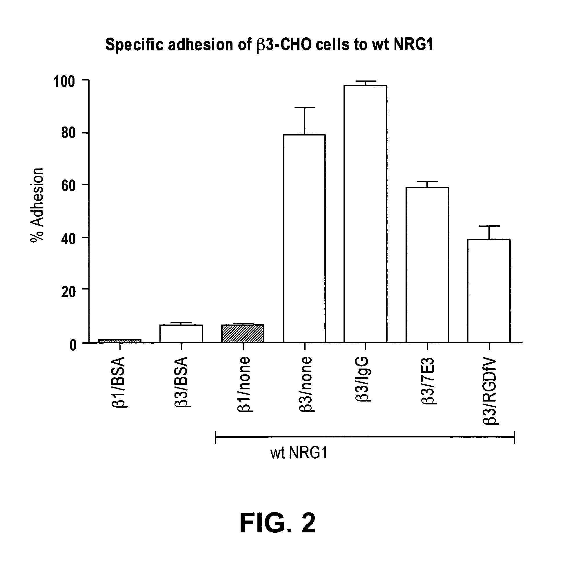 Neuregulin/erbb signaling  and integrin