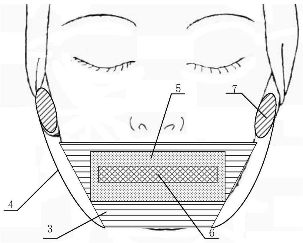 Muscle function training system and method based on precise measurement of perioral muscle force